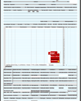BUSTA PAGA EDITABILE VUOTA CON ORE