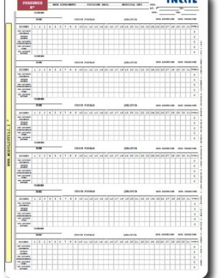 foglio presenze pdf editabile