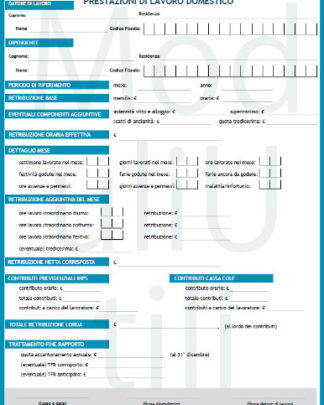 Busta Paga Lavoro domestico