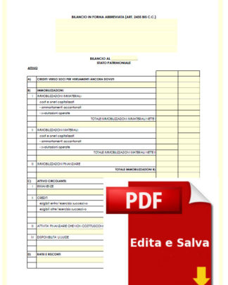 Schema di Bilancio editabile