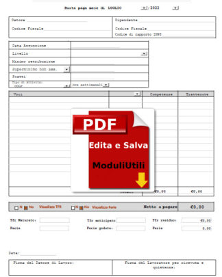 Busta-Paga-Colf-Badanti-editabile-