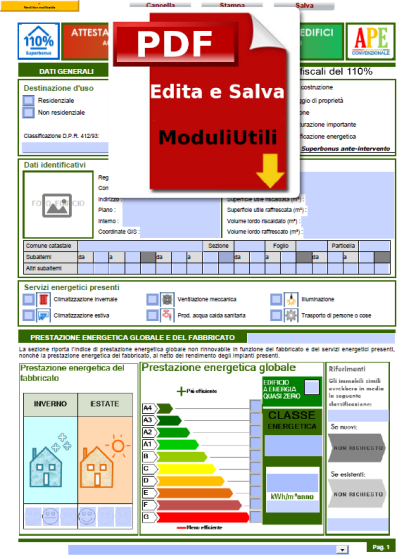 APE-convenzionale-editabile